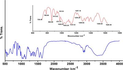 Classification of Clinical Isolates of Klebsiella pneumoniae Based on Their in vitro Biofilm Forming Capabilities and Elucidation of the Biofilm Matrix Chemistry With Special Reference to the Protein Content